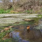 - Solar Rubina - Piscina água Salgada * Belmonte (Castelo Branco)