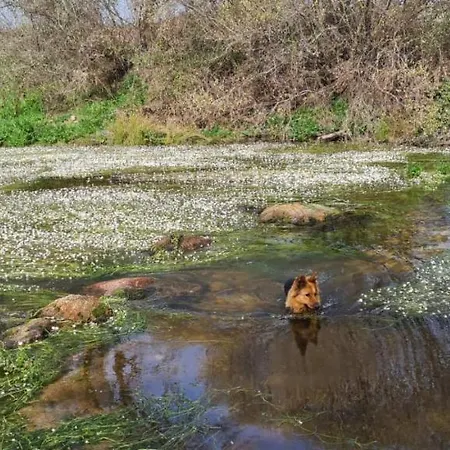- Solar Rubina - Piscina Agua Salgada * Belmonte (Castelo Branco)