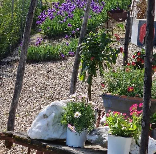 - Solar Rubina - Piscina água Salgada * Belmonte (Castelo Branco)