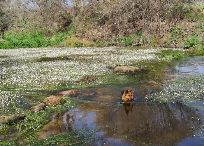 - Solar Rubina - Piscina água Salgada * Belmonte (Castelo Branco)