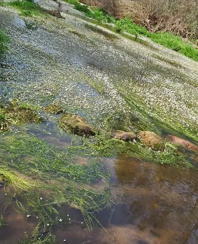 Casa de Férias - Solar Rubina - Piscina água Salgada *